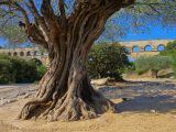 Pont-du-Gard (Francie,  Dreamstime)