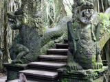 Opičí les, Bali (Indonésie, Dreamstime)