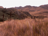 National park Cajas (Ekvádor, Dreamstime)