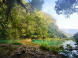 magický mayský prales v Semuc Champey (Guatemala, Dreamstime)