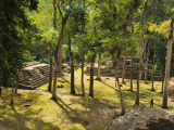 Copán 3 (Honduras,  Dreamstime)
