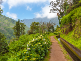 levada, Madeira (Portugalsko, Dreamstime)