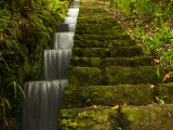 stupňovitá leváda, Madeira (Portugalsko, Dreamstime)