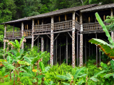 Long house, Borneo, Malajsie (Malajsie, Dreamstime)