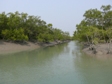 Sunderbans_ramena delty za odlivu (Indie,  Jaromír Červenka)