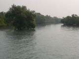 Sunderbans_ramena delty za přílivu (Indie,  Jaromír Červenka)