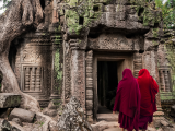 Chrám Ta Prohm, Siem Reap, Kambodža (Kambodža, Dreamstime)