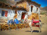 Tibet (Čína,  Dreamstime)