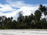 Bílý písek, zelené palmy a modrá obloha - zanzibarská klasika (Zanzibar, Slávek Suldovský)