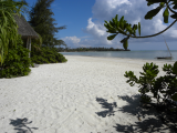 Pláže východního pobřeží (Zanzibar, Slávek Suldovský)