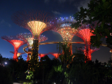 Virtuální stromy (Singapur, )