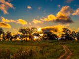 Pantanal 2 (Brazílie, Dreamstime)