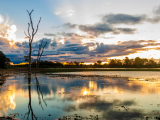 Pantanal (Brazílie, Dreamstime)