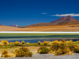 Barevná laguna, Atacama (Chile, Dreamstime)