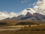 NP Cotopaxi (Ekvádor, Dreamstime)