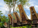 Tongkonan, Toraja, Sulawesi (Indonésie, Dreamstime)