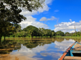 Amazonie, Leticia (Kolumbie, Dreamstime)
