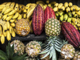 ovocný trh (Kolumbie, Dreamstime)