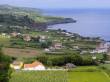 Zátoka Horta, Faial, Azory (Portugalsko, Dreamstime)