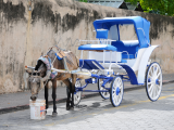 Tradiční kočár, Santo Domingo (Dominikánská republika, Dreamstime)