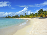 Tropická pláž (Dominikánská republika, Dreamstime)
