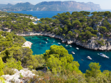 Park Calanques, Port Pin, Cassis (Francie,  Dreamstime)