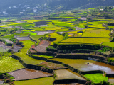 Rýžové terasy, Sagada (Filipíny, Dreamstime)