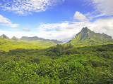 Vnitrozemí Tahiti (Francouzská Polynésie, Dreamstime)