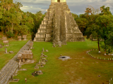 Gran Jaguar,Tikal (Guatemala, Dreamstime)