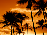 Havaj (USA, Dreamstime)