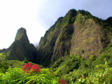 Maui, Havaj (USA, Dreamstime)