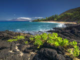 Pláž, Makena, Maui, Havaj (USA, Dreamstime)