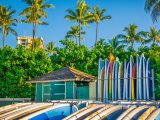 Surfy, pláž Waikiki, Havaj (USA, Dreamstime)