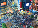 Shibuya, Tokio (Japonsko, Dreamstime)