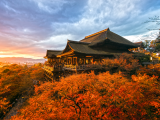 chrám Kiyomizu-dera, Kjóto (Japonsko, Dreamstime)