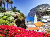 Camara de Lobos, Madeira (Portugalsko, Dreamstime)