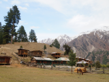 Fairy Meadows, Nanga Parbat (Pákistán, Dreamstime)