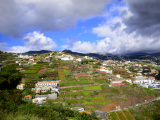 Funchal, Madeira (Portugalsko, Dreamstime)