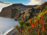 Pobřeží, Madeira (2) (Portugalsko, Dreamstime)