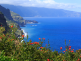 Pobřeží, Madeira (Portugalsko, Dreamstime)