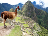 Machu Picchu (Peru, Dreamstime)