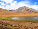 prusmyk Raya (Peru, Dreamstime)