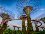 Gardens by the Bay (Singapur, Dreamstime)