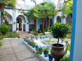 Patio, Cordoba (Španělsko,  Dreamstime)