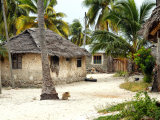 Vesnice, Jambiani (Zanzibar, Dreamstime)