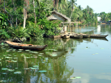 Delta Mekongu (Vietnam,  Dreamstime)
