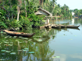 Delta Mekongu (Vietnam, Dreamstime)