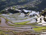 Rýžové terasy, Batad (Filipíny, Michal Čepek)