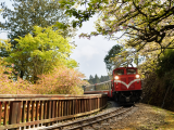 Vlak v horách, Alishan (Tchaj-wan,  Dreamstime)