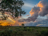 Savana v Amazoonii u řeky Madre de Dios (Peru, Dreamstime)